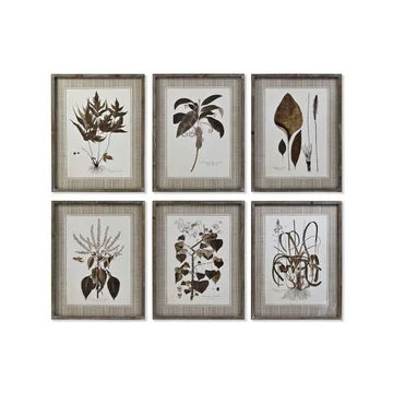 Kép botanikus üveg, mdf 55x2,5x70 cm színes 6 féle
