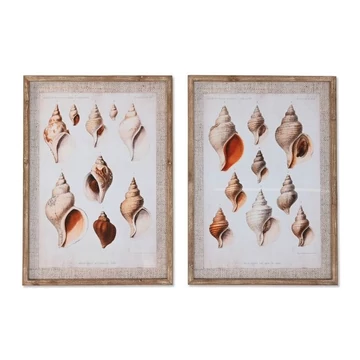 Kép csigák lucfenyő, üveg 50x2,5x70 cm barna 2 féle