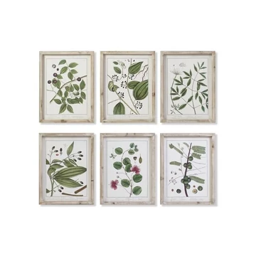 Kép növényes üveg, mdf 30x2x40 cm zöld, bézs 6 féle