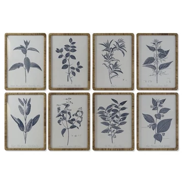 Kép növényes üveg, rattan 50x2,5x70 cm színes 8 féle