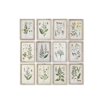 Kép nyövények üveg, mdf 24x2x34,5 cm zöld, bézs 12 féle