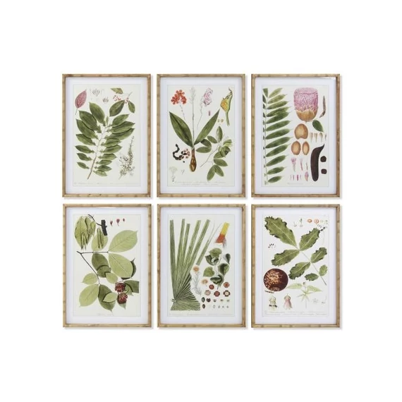 Kép botanikus bambusz, üveg 50x2,8x70 cm zöld, színes 6 féle
