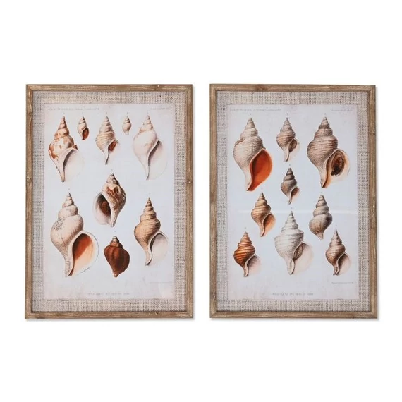 Kép csigák lucfenyő, üveg 50x2,5x70 cm barna 2 féle
