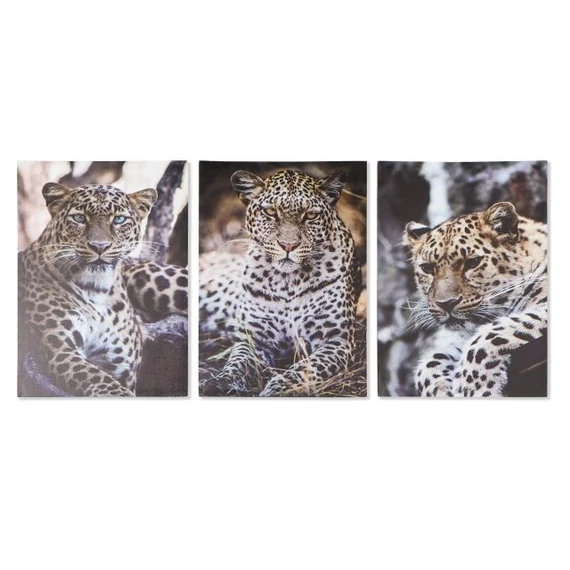 Kép leopárd vászon, mdf 50x1,8x70 cm színes 3 féle