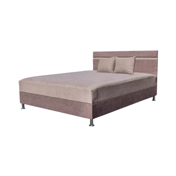 HEKTOR  v.barna-s.barna franciaágy