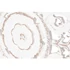 Kép 4/5 - Dekoráció falra Mandala mdf 60x2x60 cm fehér