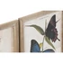 Kép 3/4 - Kép pillangók üveg, lucfenyő 40x2x50 cm színes, bézs 4 féle