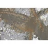 Kép 4/4 - Kép szett vászon, mdf 150x3,8x100 cm színes S/3