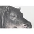 Kép 4/4 - Kép szett víziló hungarocell, vászon 180x4x120 cm fekete, szürke S/3
