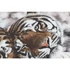 Kép 4/4 - Kép tigres vászon, mdf 80x1,8x40 cm színes 2 féle