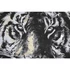 Kép 4/5 - Kép tigris hungarocell, vászon 103x4,5x143 cm színes 2 féle