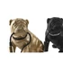 Kép 4/6 - Lámpa asztali bulldog poly 29x18,5x24 cm arany, fekete 2 féle